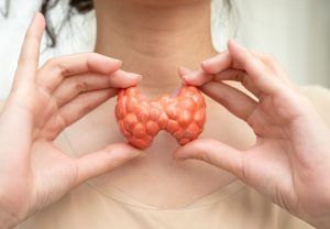 a plastic thyroid gland is held up in front of a womans throat to illustrate the location of the location of thyroid conditions.